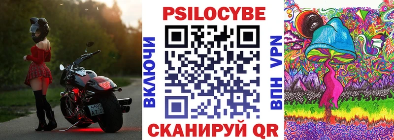 Псилоцибиновые грибы Psilocybe  Купить закладки  Новосиль 