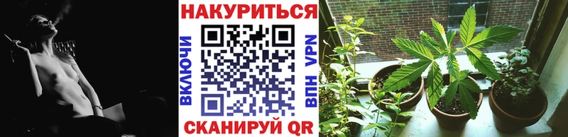 Купить  Новосиль  Каннабис SATIVA & INDICA 